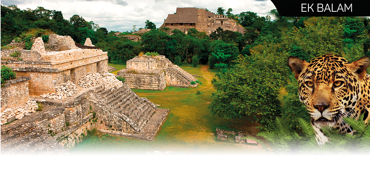 In this section you will find: Information about the Archaeological Zone, Links to the Groups of Structures, Virtual Tours, Map of the Route, and services available at the center, Location, Hours, Travel Distances, Social Media, Archaeological Zone Map, Location Applications like Waze and Maps, and other Culture-related websites.